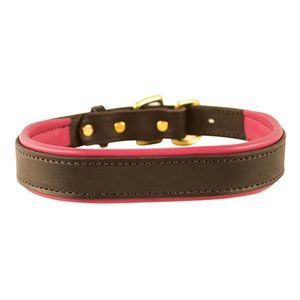 Perri's Padded Leather Dog Collar (X-Large)